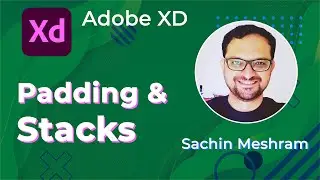 Basics of Adobe XD PART 5 -Padding& Stacks | Adobe XD Basic