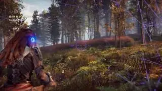 Horizon zero dawn:  Where to find fox skin,Boar,fatty meat and bones,ect  Good Hunting!