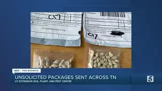 Tennessee ag experts issue warning of &lsquo;non-inspected&rsquo; seed packets from China