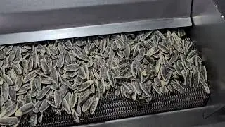Seeds Roasting Machine - machinecastle.com