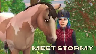 Meet Stormy - Jorvik Warmblood || Meet The Horses || Star Stable Online