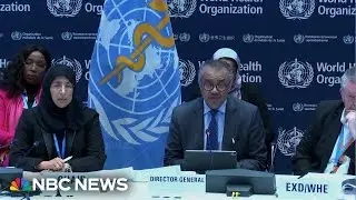 WHO executive board calls for immediate humanitarian relief in Gaza