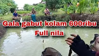 Gala hiburan ❗❗❗ Borongan kolam 600 ribu 6peserta❗❗❗