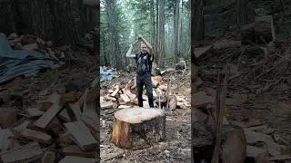 #logger #axes #timberfaller #splittingaxe #woodsplitting #splittingwood #firewood #buckin #axe #bbr