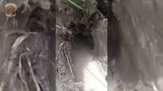 Tak di sangka perlawanan yg menegangkan akhirnya kena juga BELUT SUPER BABON