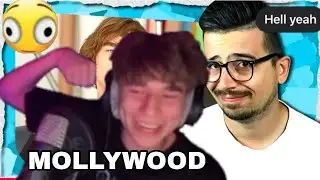 MOLLYWOOD &Eacute;S BUDA REAG&Aacute;L S&Uacute;LYTALAN REAKCI&Oacute;J&Aacute;RA 🤯‼️