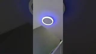 Light Colour Change to Blue and White form Light Switch