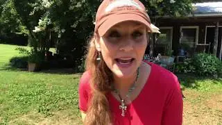 Pop-Up Market Days @ the farm