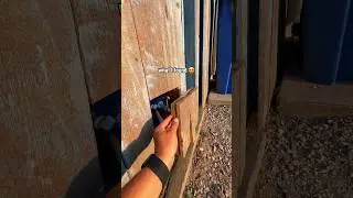 Can you believe what I found hiding inside of the shed? If you love candy, you&rsquo;ll love this cache!😍
