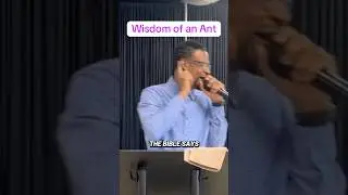 🐜 Ant Wisdom. #church #foryou #God