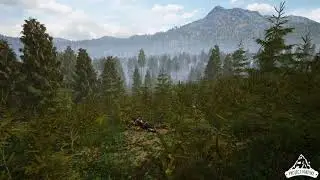 UE4 Interactive Spruce Forest by Nils Arenz