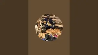 Alex_animals_rescue is live