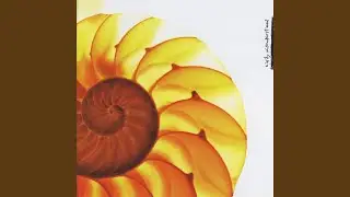 Song for Sarah
