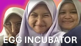 eCO EGG INCUBATOR