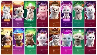 Cute Cats vs Dogs Tiles Hop Edm Gameplay