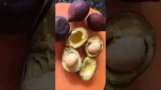 AVOCADO SMOOTHIE/BUTTER FRUIT JUICE RECIPE