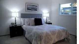 Single Family Home for Sale in Milpitas | 202 Greentree Way | Open House Weekend | New Home | MLS
