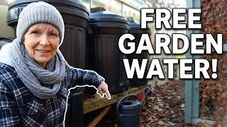 Water capture for my garden.