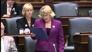 Sylvia Jones MPP calls for a full moratorium on industrial wind turbine construction in Ontario