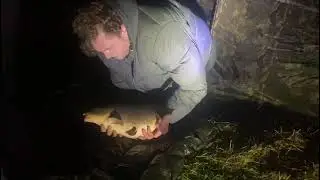 Danson park carp 