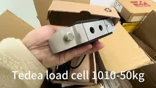 Nigeria customer Purchase tedea loadcell 1010# 