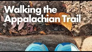 Walking the Appalachian Trail | A Quiet Hike + A Trailhead Moment