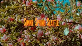 Spring in Seattle | BlackMagic Cinema Camera Original & Lumix 12-60 F2.8-4