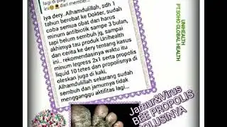 Testimoni terbaik Magozai legres astagold propolissegera hub: 0895337736269