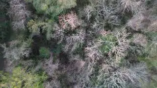 Lots in La Porte, TX