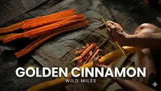 Inside a Srilankan Cinnamon Farm | The Worlds Best Spice | Wild Miles