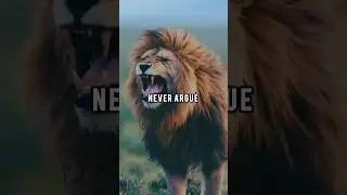 &ldquo;Arguing with liars only wastes your truth.&rdquo; || Lion 🦁 Attitude #shorts #succesrules