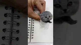 Cat art imagination #cat #illit  #catlife #catlover #cute #art #drawing #britishshorthair #pets