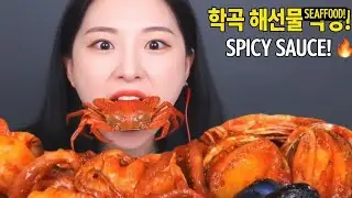 🤣 Spicy🌶️ Korean Seafood Mukbang! 🦀 Eating Whole Giant King 🦀 crab