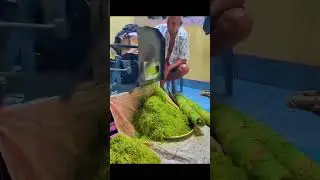 The Production Process of Tobacco Leaves #farming #potteryshop #wood #potteryworks #agriculture
