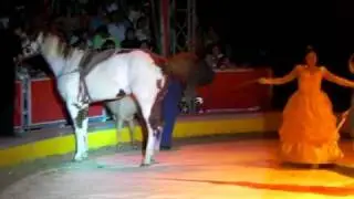 domadora de caballos en el circo mariaisy