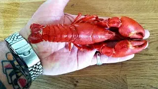 Crayfish Catch & Cook: Crayfish Linguine  #SRP #Crayfish #Crawfish