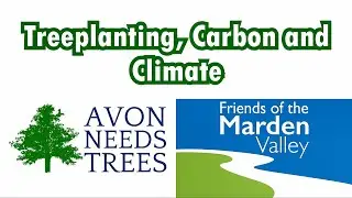 Tree Planting, Carbon and Climate