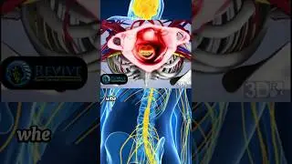 Headaches, Dizziness, Fatigue, Brain Fog
