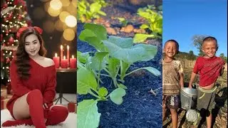 Hnub no maiv xis vaj mus ywg zaub nawb🙏🙏