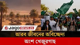 রিয়াদের রাস্তায় রাস্তায় খেজুরগাছ মরুর শহরে ঐতিহ্যের নীরব প্রহরী | Riyadh  | Date palms  | Jago News