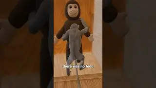 The Harlow's Monkey Experiment 🐒