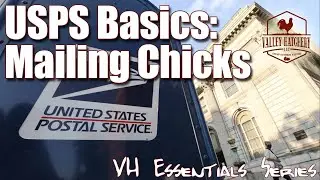 USPS Chick Shipping Simplified