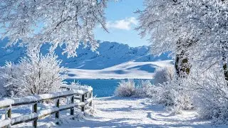 Beautiful Winter Music 2026 ❄️ Anti-Stress Music to Relax Mind & Stop Overthinking | Stillily