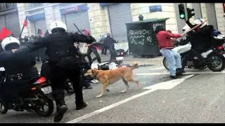 Loukanikos / &Lambda;&omicron;&upsilon;&kappa;ά&nu;&iota;&kappa;&omicron;&sigmaf; (The Dog Anarchist)