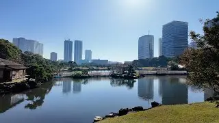 【浜離宮恩賜庭園】都会の中の自然を巡る35歳