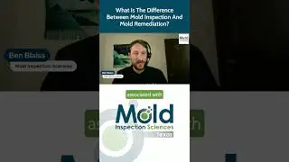 What is the difference between mold inspection and mold remediation?