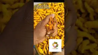 super quality termaric finger #dubai #fruit #importexportchina #greenchilli #export #farming