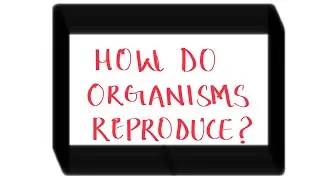 Class-10- Biology- How do Organism Reproduce?- Asexual Reproduction-Budding in Hydra & Yeast- Part-4