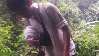 #Foresttrip#adventure #tourism