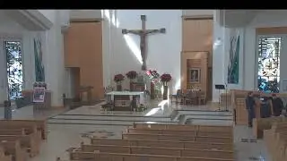 Sunday, February 1st, 2026 - 11:00 A.M. Mass